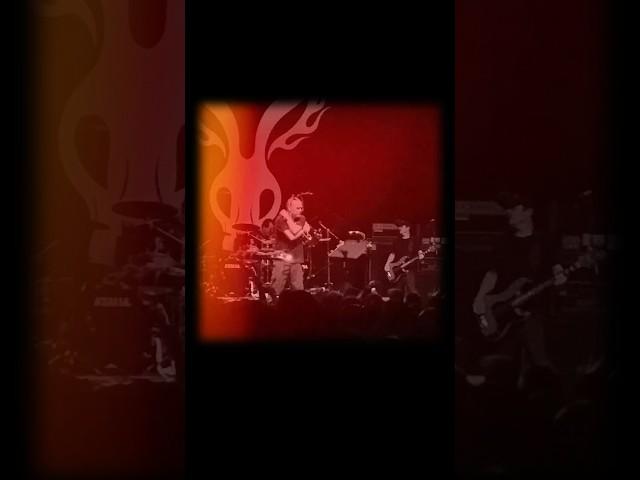 Mr Bungle Bassist Trevor Dunn Live Fender PBass Tone Ampeg SVT 8x10  #pbass #mrbungle #ampeg