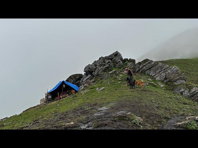 The Pastoral Life | Nepal|Chapter -38 |Himalayan Life | Sheep Shed Cooking & Eating |VillageLife