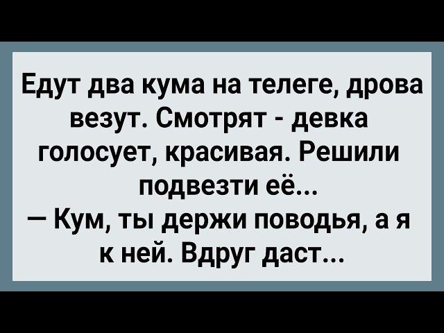 Как Два Кума На Телеге Дрова Везли! Сборник Свежих Анекдотов! Юмор!