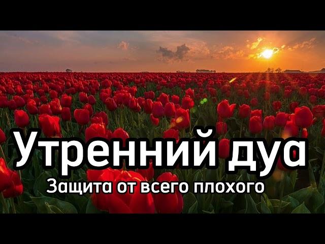 Утренний дуа каждое утро