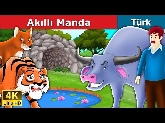 Akıllı Manda | Intelligent Buffalo in Turkish | Turkish Fairy Tales