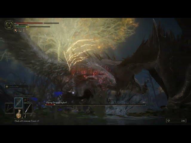 Agheel the Dragon Boss Battle Elden RIng