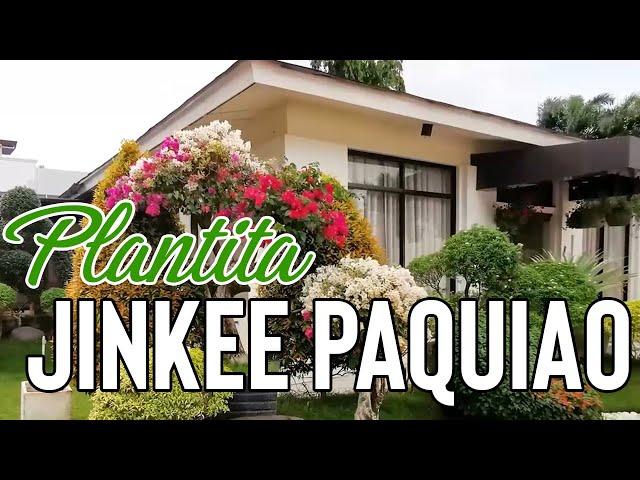 Plantita Jinkee Pacquiao