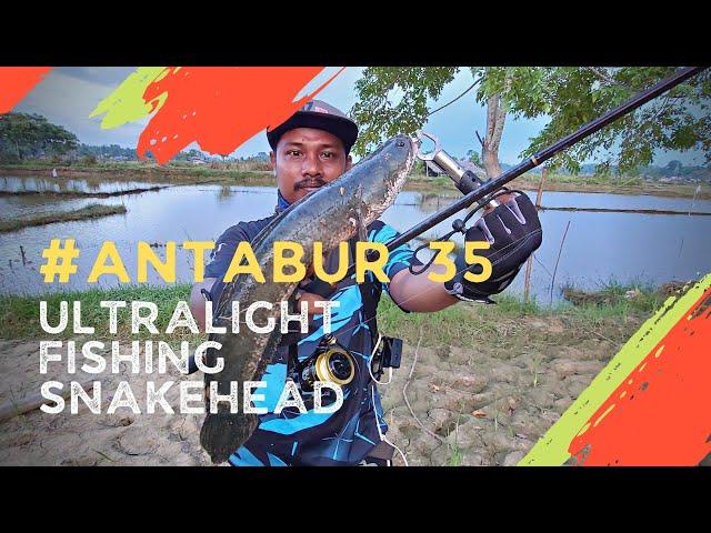 Casting Snakehead Menggunakan Lure Antabur35  || Ultralight Fishing Snakehead #salureindonesia #lure