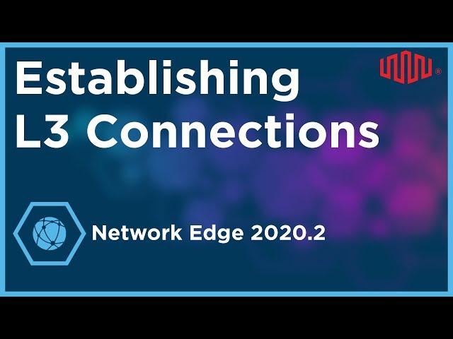 Establishing Layer 3 Connections on Equinix Network Edge 2020.2