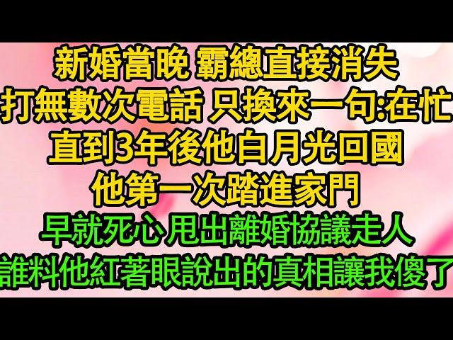 新婚當晚 霸總直接消失，打無數次電話 只換來一句：在忙，直到3年後他白月光回國，他第一次踏進家門，早就死心 甩出離婚協議走人，誰料他紅著眼說出的真相讓我傻了| 都市 | 愛情 | 婚姻