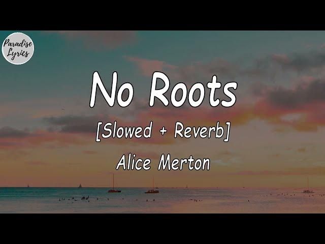 Alice Merton - No Roots [Slowed + Reverb] (Lyrics Video) (- a thousand times) (Tiktok Song)