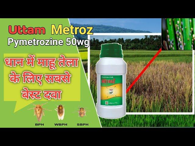 Uttam metroz pymetrozine 50wg insecticide धान में करें महू तेला का सफाया bph control insecticide