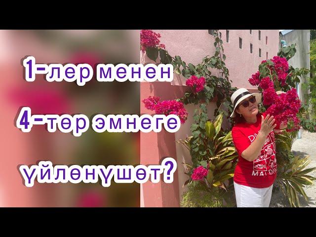 1-лер(1,10,19,28) менен 4-төр(4,13,22,31) эмнеге үйлөнүшөт?