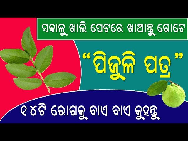 Benefits Of Guava Leaves For Our Body And Skin | Health Tips | Healthy Living