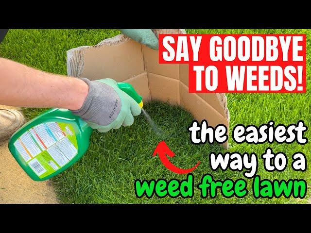 How to kill WEEDS in your LAWN the simple way