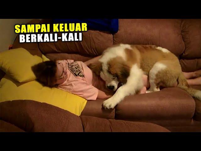 Tak Tahan Jomblo Dan Kesepian,, BULE Cantik "Begituan" Dengan Anjing Peliharaan!!