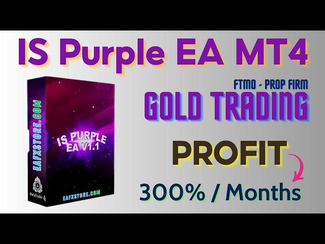 IS Purple EA MT4 Review and Backtest | FX STORE EA