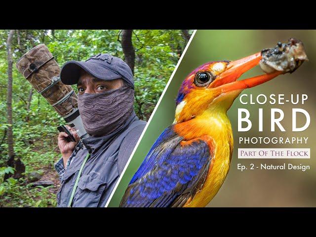 Creating DETAILED Bird Photography – The World’s MOST COLOURFUL Kingfisher | Part Of The Flock Ep 2