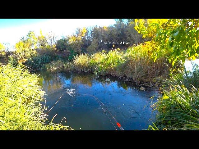 PIKE IN THE OLD-FASHIONED WAY FOR A SPINNER!! Spinning fishing on the small river