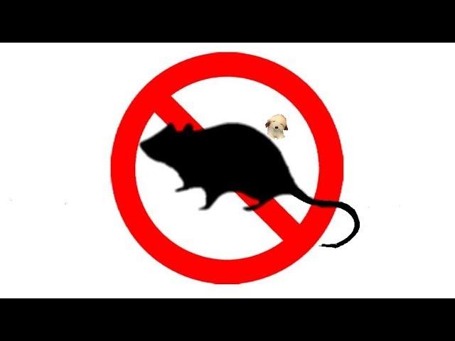 ▶️ Mouse & Rat Ultra Sonic Deterrent. Mice Ultrasonic Repellent. 12 Hours. 