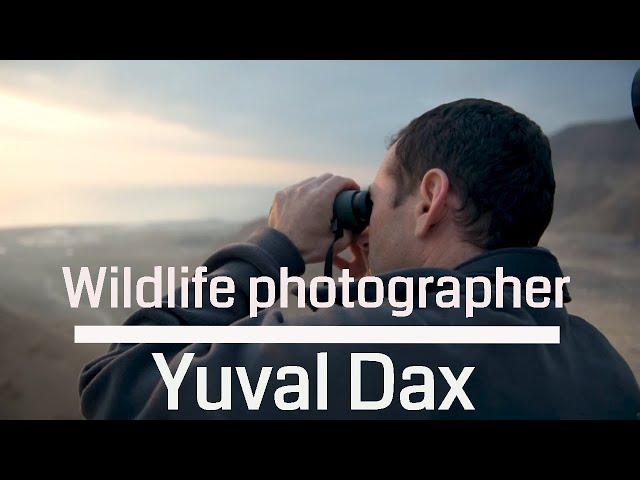 Yuval Dax - Wildlife photography Israel