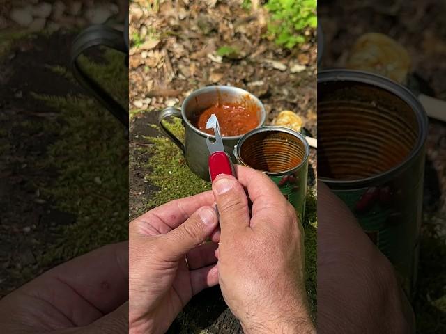 Survival Skills: Lifehacks with a Universal Knife. #survival #camping #lifehacks