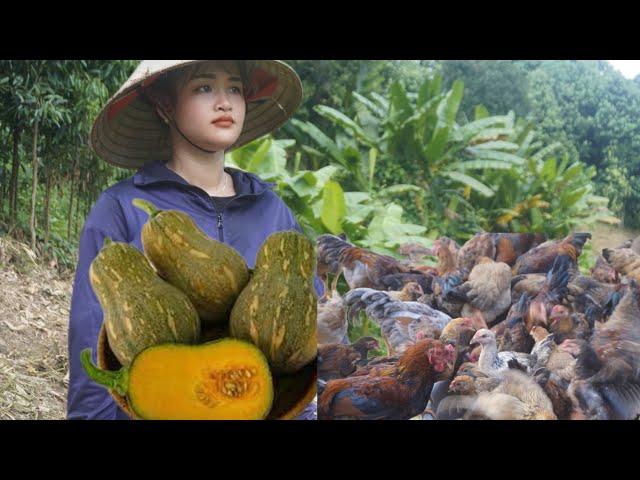 VIDEO/5 days :Gardening, Animal care, Harvesting | Daily farm life - Ban Thi Nham #familyfarm