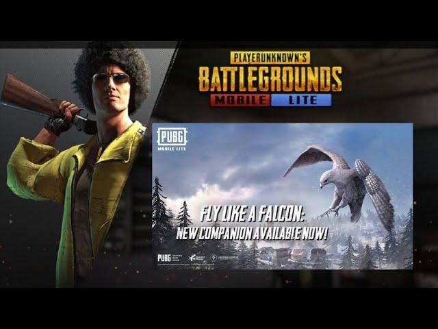 PUBG LITE FALCON REDEEM CODE // PUBG LITE