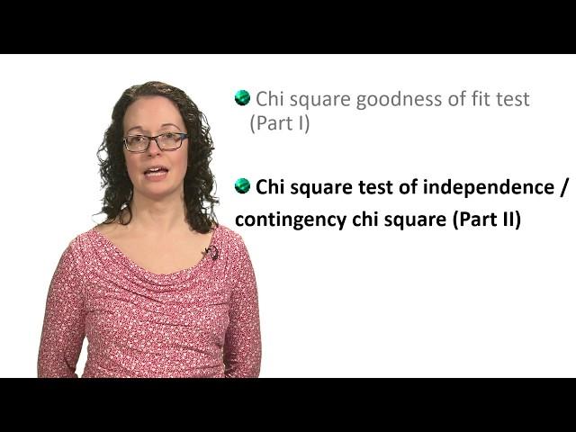 Chi square test - part 2 with Lindsey Leach