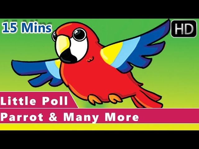 Little Poll Parrot | Popular Animated Nursery Rhymes Collection