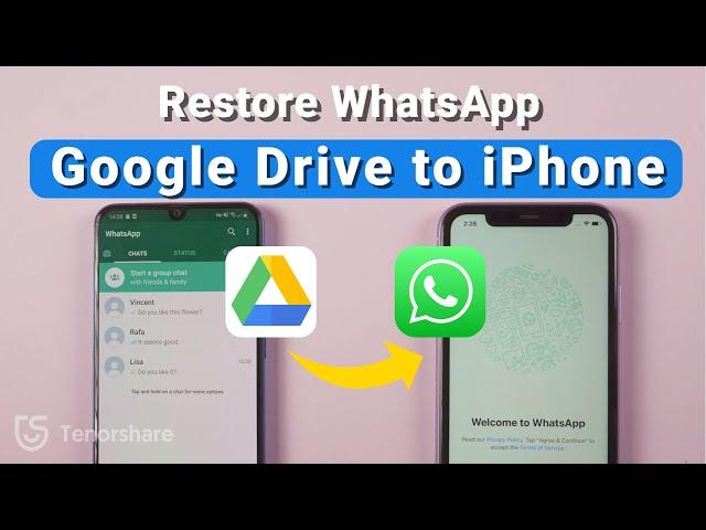 How to Restore WhatsApp backup from Google Drive to iPhone