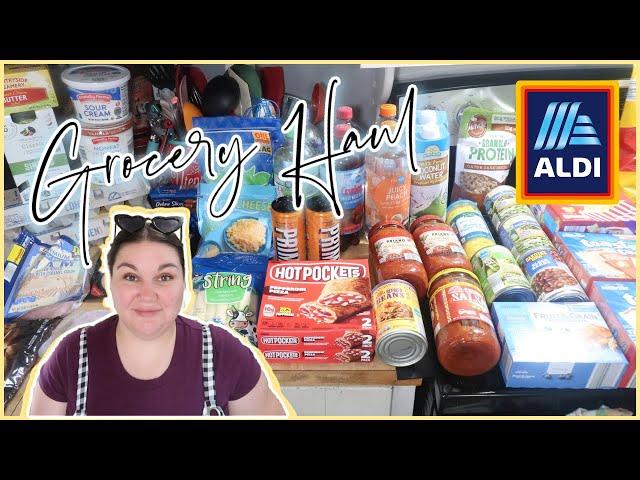 AUGUST GROCERY TOTALS | 1-Week Grocery Haul & Meal Plan | ALDI HAUL