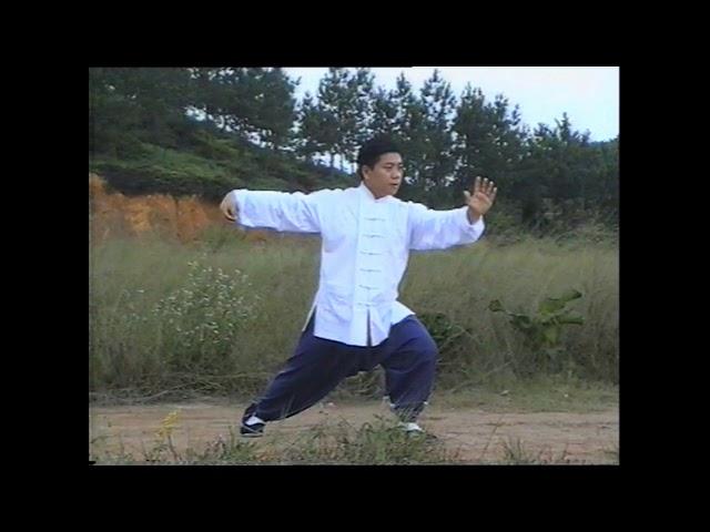 Yang Style Tai Ji Quan (Tai Chi) Long Routine (85 techniques) - Fu Qing Quan