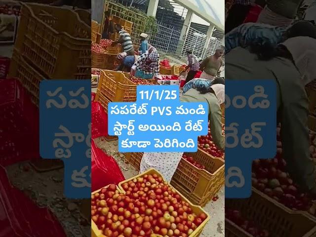 Madanapalle Tomato market price today  #crkvideos16 #todaytomatorate