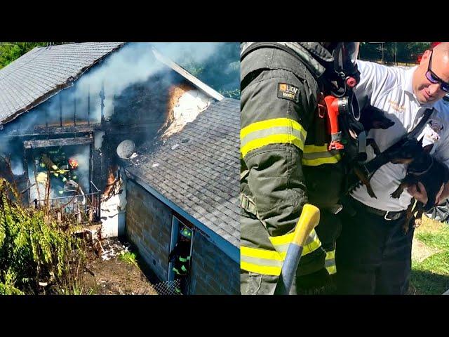 7 Dogs and Owner Saved From Indiana House Fire