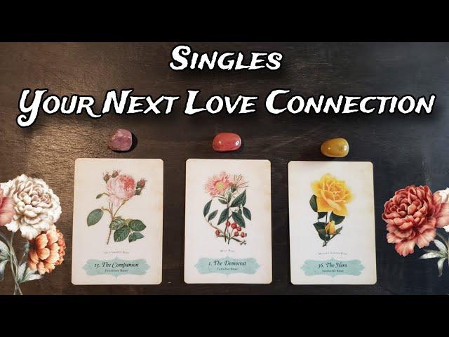 Your Next Love Connection!  Pick A Card Love Reading |  SINGLES Love Reading!