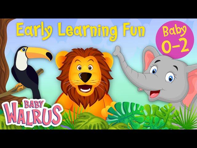 Early Learning Fun Collection | Jungle Animals and their Sounds | Counting & Colors | Educational