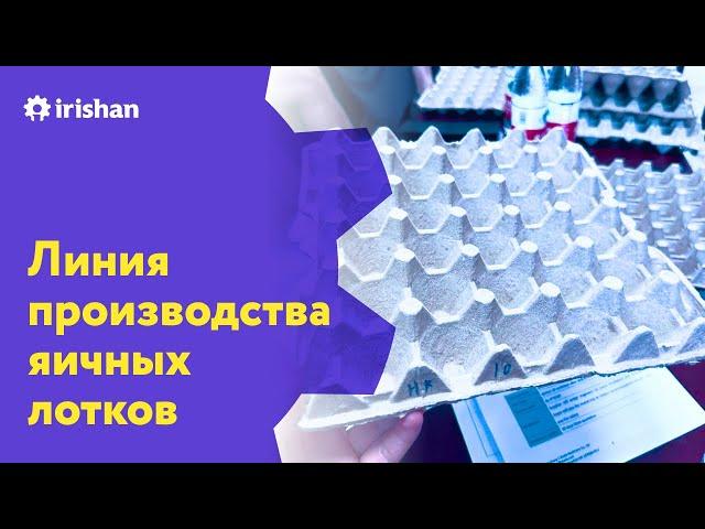 Бюджетная линия производства яичных лотков в Китае, реальная производительность 7000 лотков в час!