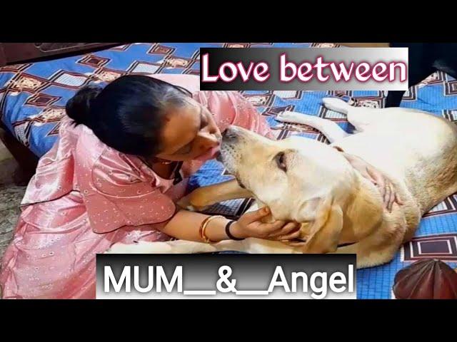 Love Between Mum, Coco & Angel... Watch the funny & lovable video.. 