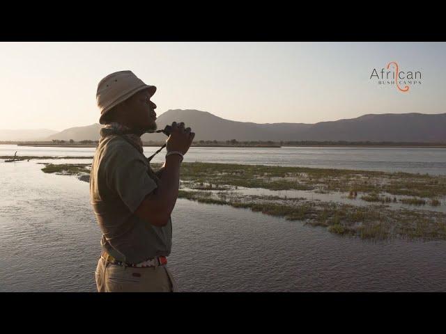 Your Guide Through The Heart Of Africa - African Bush Camps