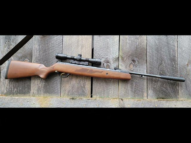 A Quick look at the Hatsan Model 95 Air Rifle