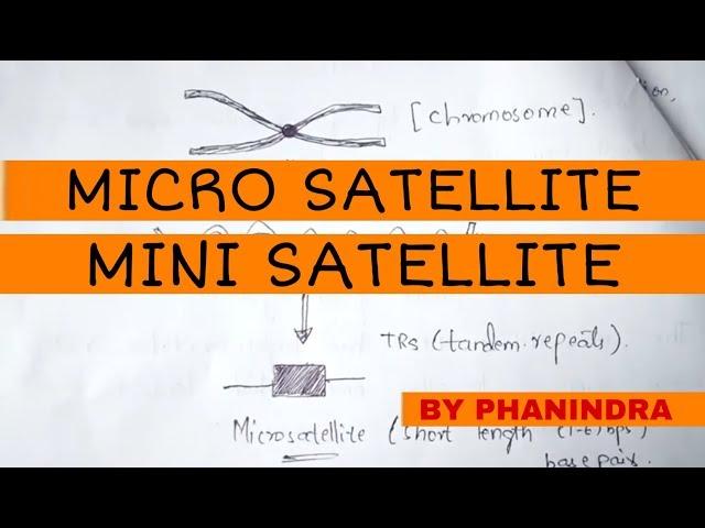 MICROSATELLITES AND MINISATELLITES || BIOTECHNOLOGY || BY PHANINDRA GUPTA