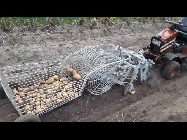 Копка картошки 2019! Digging potatoes 2019! حفر البطاطس