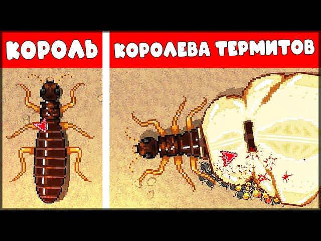 ЭВОЛЮЦИЯ ТЕРМИТОВ! КОРОЛЬ и КОРОЛЕВА ТЕРМИТОВ | КООПЕРАТИВНЫЕ БОИ - Pocket Ants: Симулятор Колонии