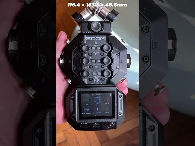 How Big Are They? Zoom H4n Pro vs H8