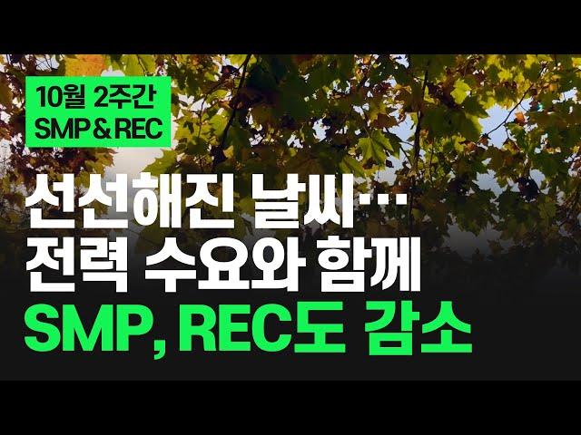 선선해진 날씨로 인한 전력 수요 감소에 육지, 제주 SMP 약 20원씩 하락 | 경기도 신재생에너지 융자 지원 | 24년 10월 2주 태양광 SMP & REC 가격 동향 | 해줌