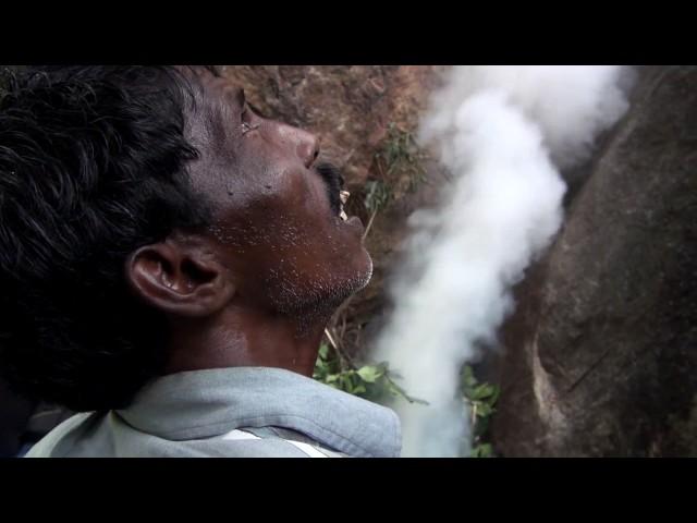 Honey Hunting in the Nilgiris