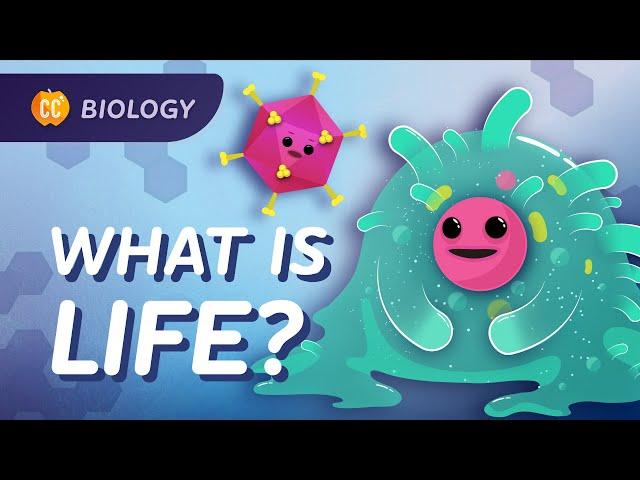 Introduction to Biology: Crash Course Biology #1