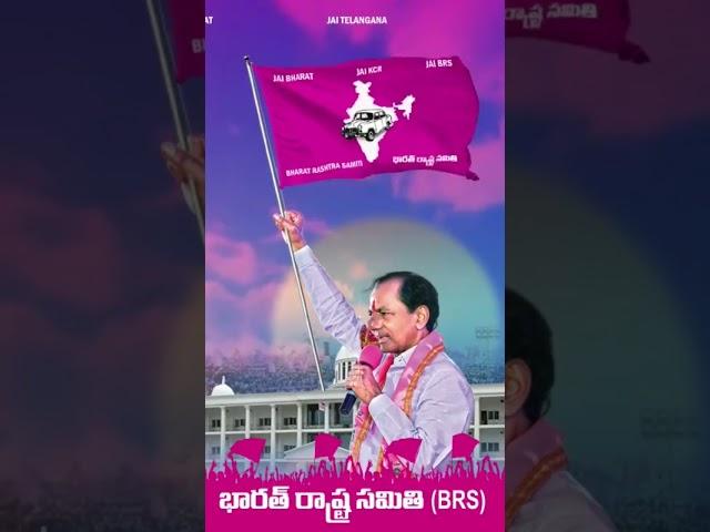 #brs #brsparty #brs #flag #telangana #trs #viral