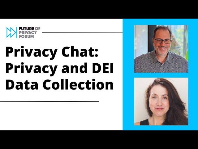 Privacy Chat: Privacy and DEI Data Collection