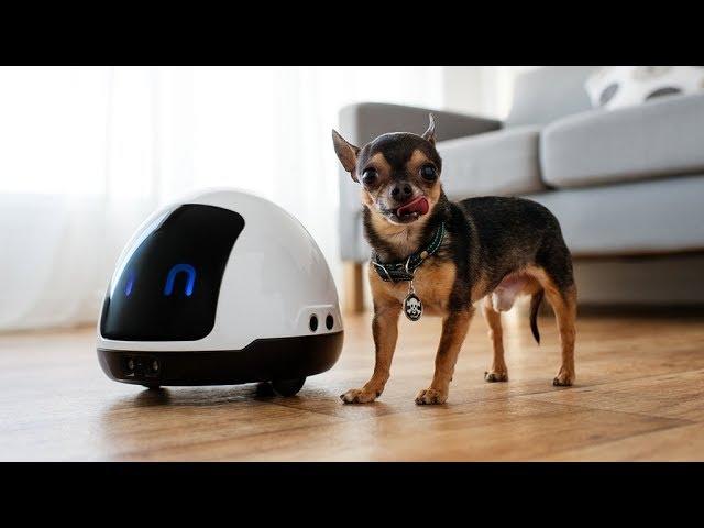 Top 5 Robotic Gadgets for Home That Make Your Life Easier