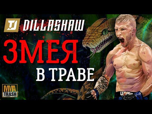 ТИ ДЖЕЙ ДИЛЛАШОУ "ЗМЕЯ В ТРАВЕ" / ФИЛЬМ ОТ MMATRASH