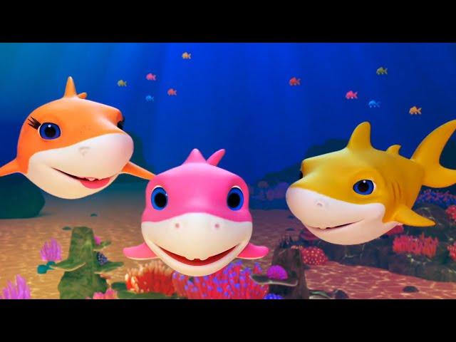 Rainbow Playtime  | Cheerful and Colorful  | Sing a Song  | Baby Shark  | | Happy Baby