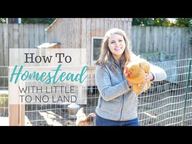 How To Homestead Without Land Or With Little Land - Urban Farming